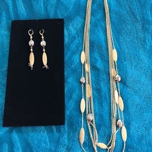 Beautiful gold and dark silver costume set